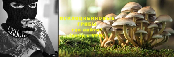 таблы Ладушкин