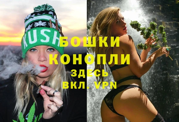 твердый Лиски