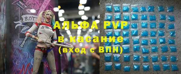 мяу мяу мука Лабытнанги