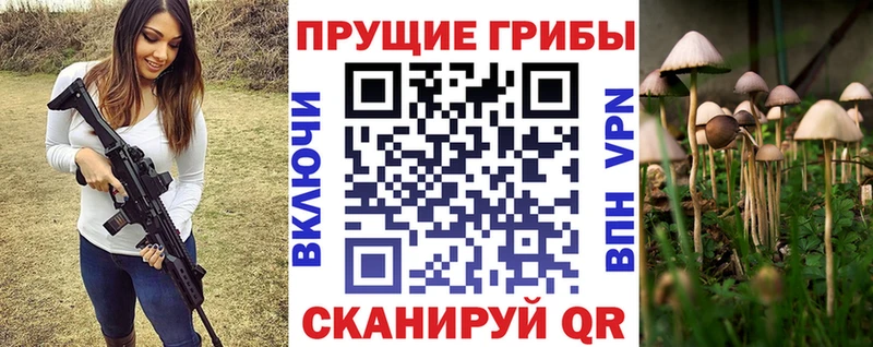 Псилоцибиновые грибы Psilocybe  цены наркотик  Южно-Сухокумск 